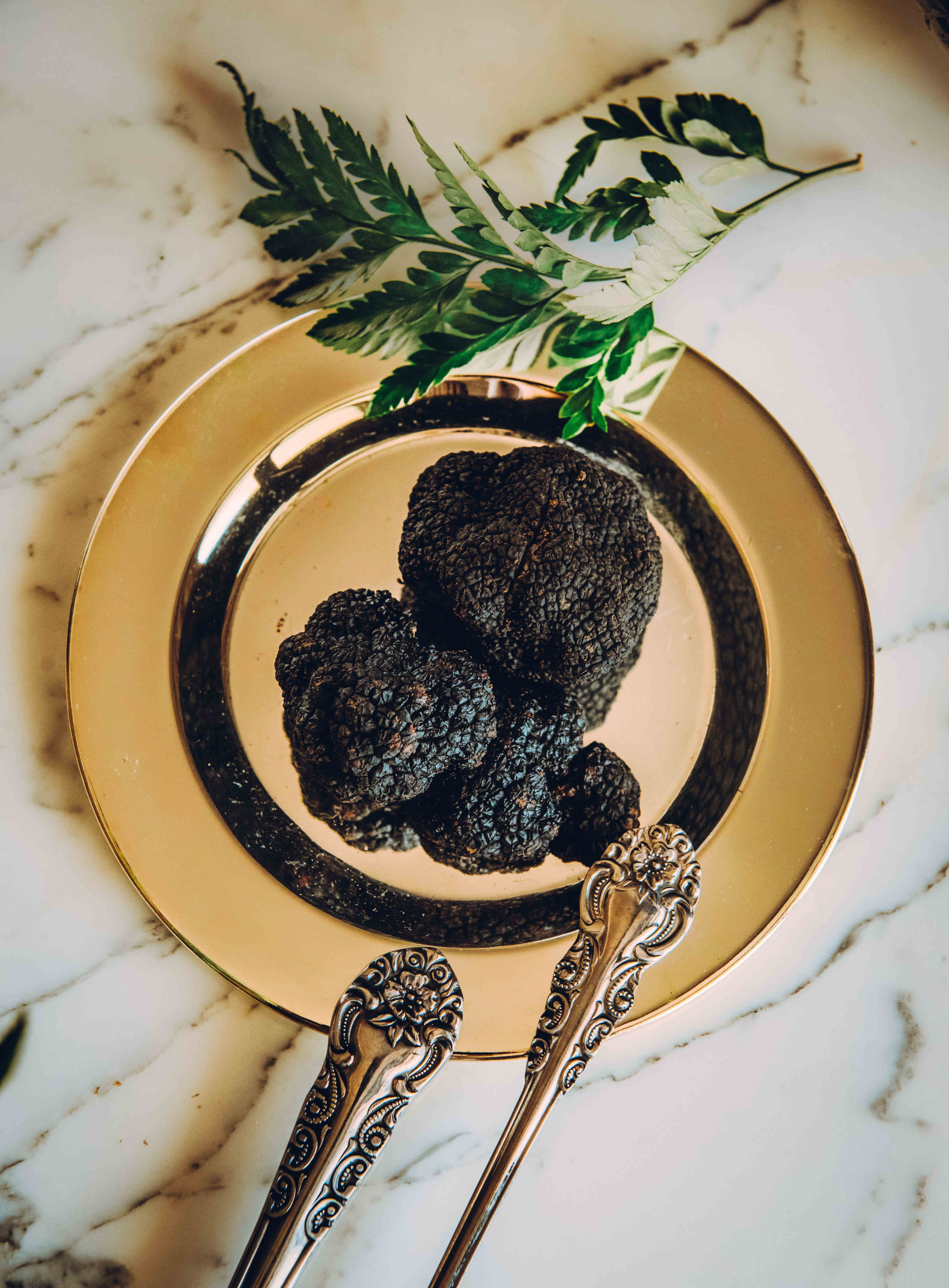 Damar Confit - truffles