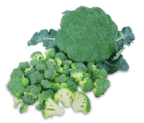 Broccoli Frozen IQF Hand-cut Florets
