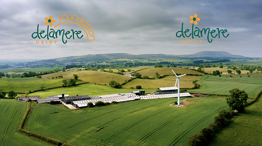 Delamere Dairy Company Overview Video