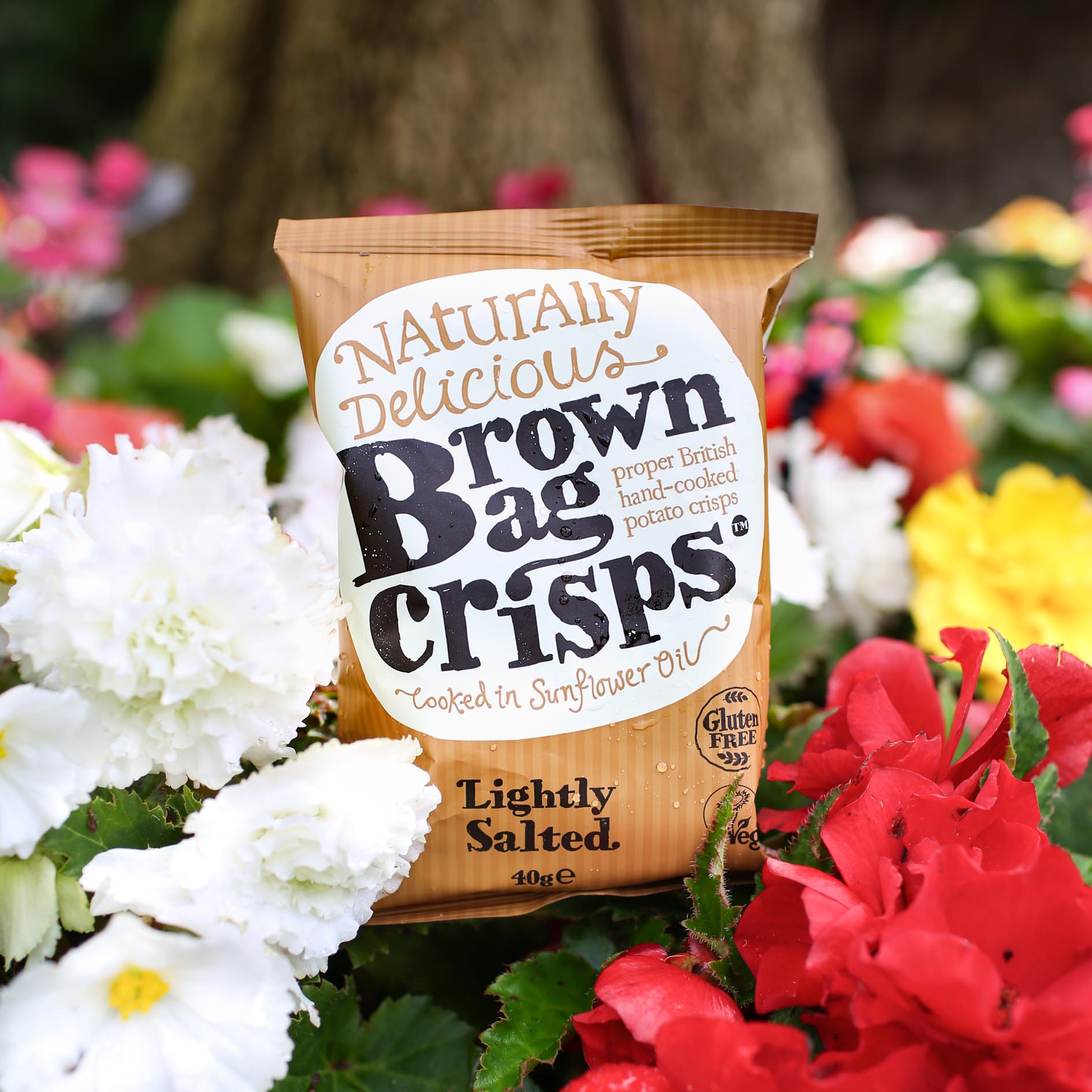 Brown Bag Crisps - Lightly Salted