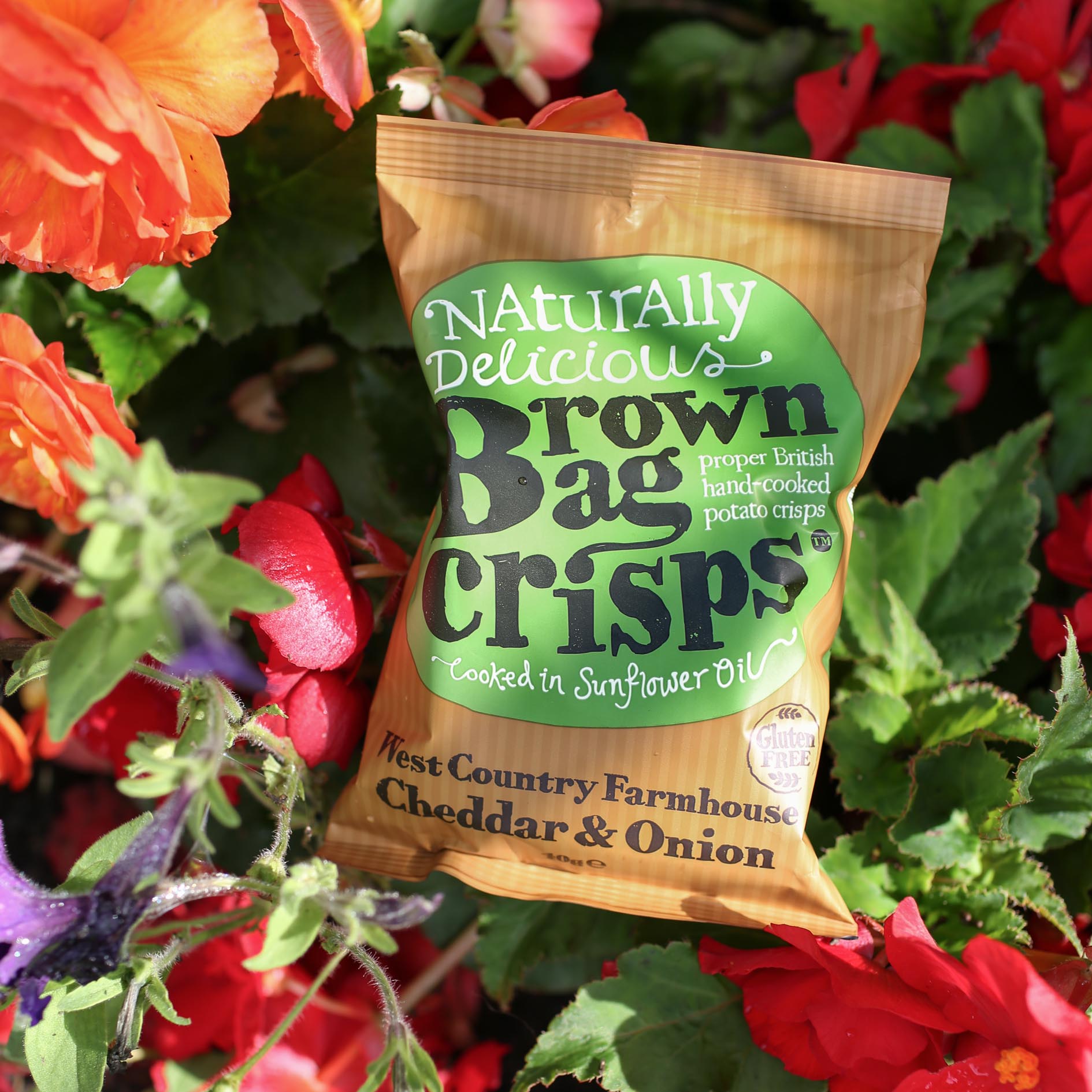 Brown Bag Crisps - West Country Farmhouse Cheddar and Onion