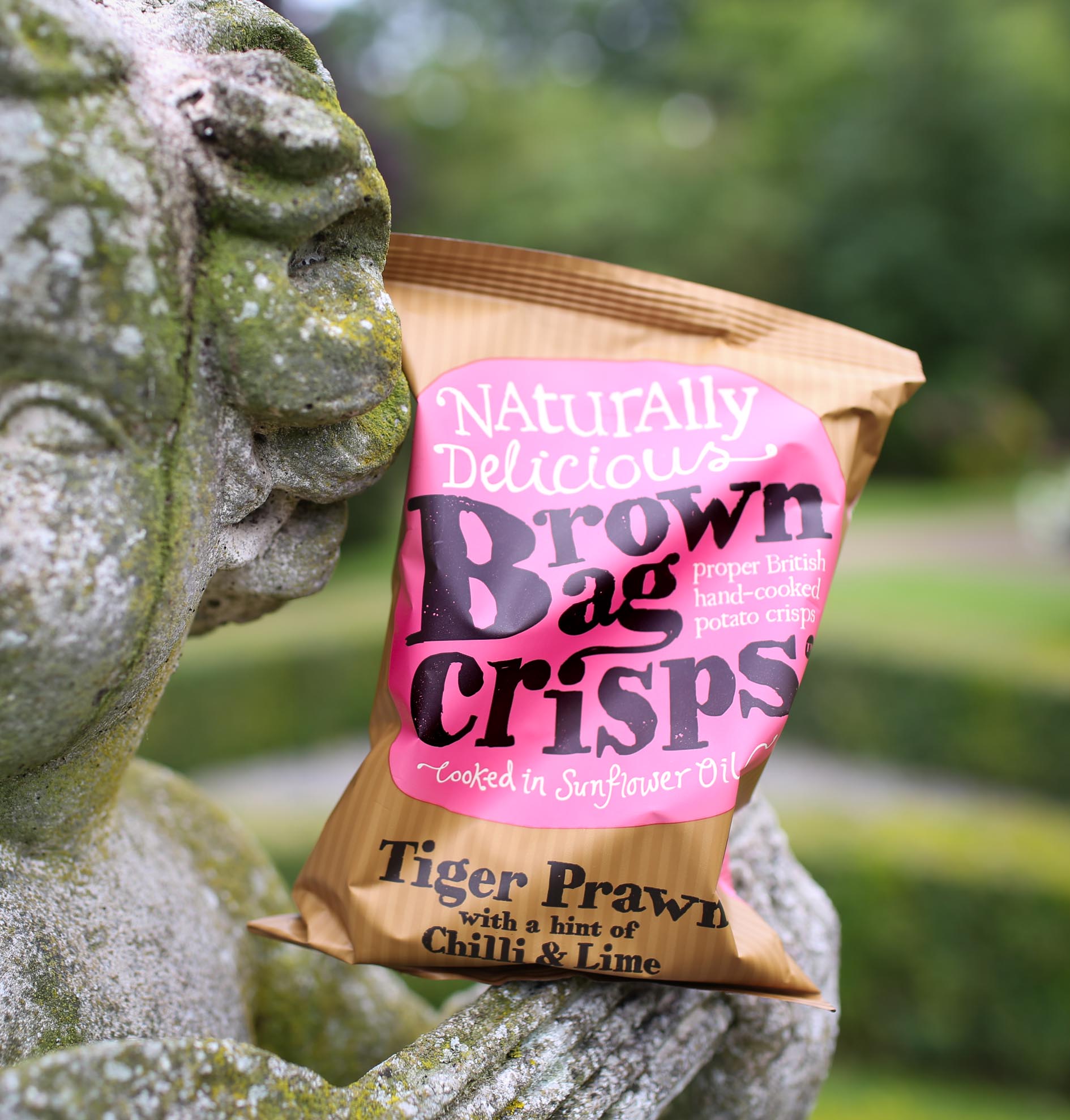 Brown Bag Crisps - Tiger Prawn with a hint of Chilli and Lime