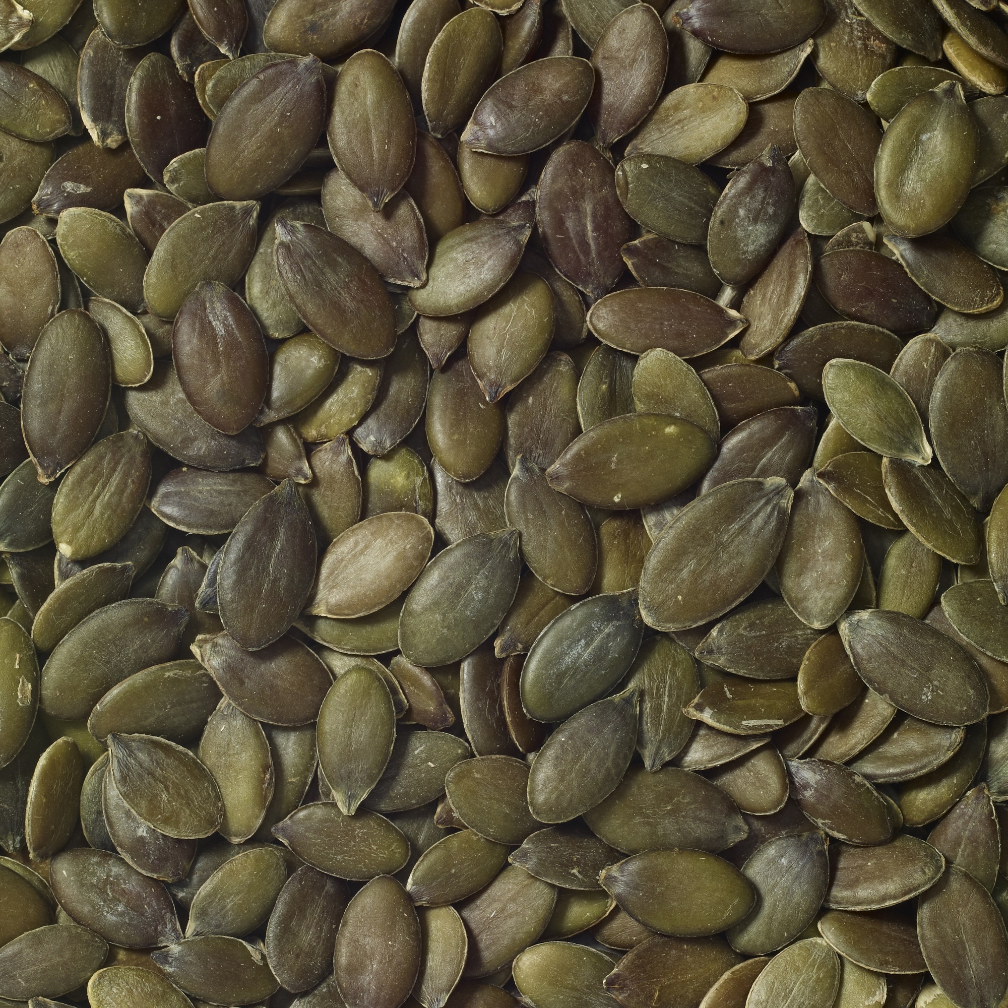 Pumpkinseeds Grown Without Shell